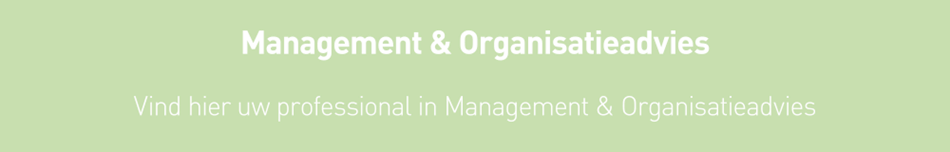 management en organisatie
